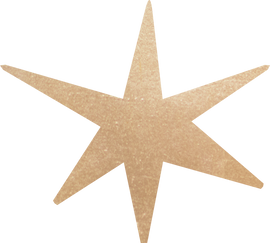 Brown Star Illustration 