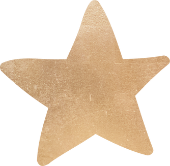 Gold Star Doodle