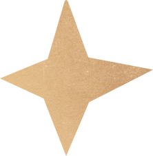 Brown Star Illustration 